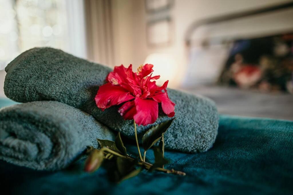 Classic Greyton Cottage For Two Dış mekan fotoğraf
